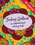 Fucking Brilliant | PDF Download